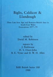 Tapa de Biglis Caldicot and Llandough (British Archaeological Reports (BAR) International)