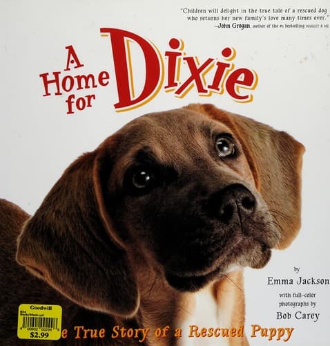 Tapa de A home for Dixie
