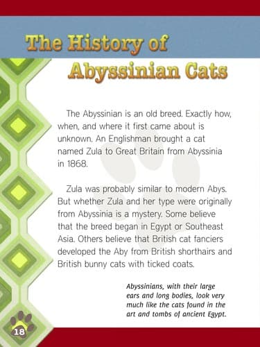 Tapa de Abyssinian cats