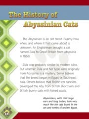 Tapa de Abyssinian cats