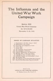 Tapa de The influenza and the United War Work Campaign
