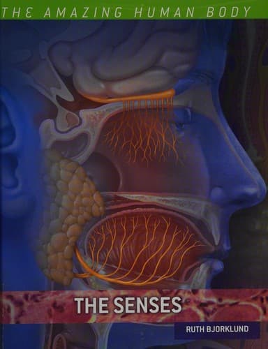 Tapa de The senses