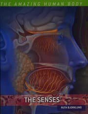Tapa de The senses