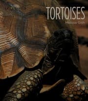 Tapa de Tortoises