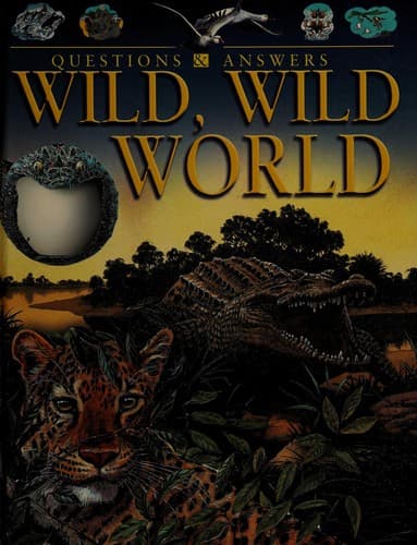 Tapa de Wild, wild world