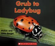Tapa de Grub to ladybug