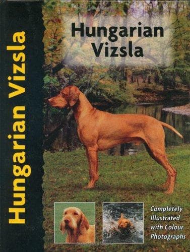 Tapa de Hungarian Vizsla