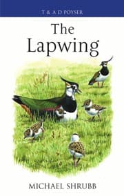 Tapa de The lapwing