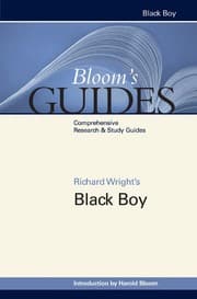 Tapa de Black boy