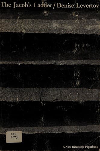 Tapa de The Jacob's Ladder