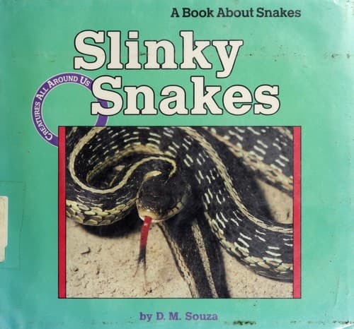 Tapa de Slinky snakes
