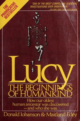 Tapa de Lucy