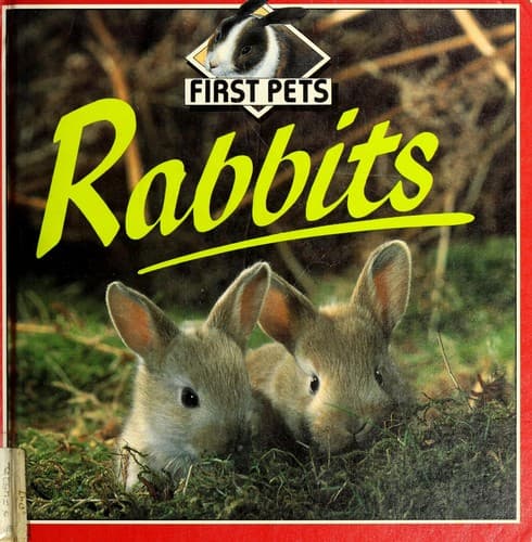 Tapa de Rabbits