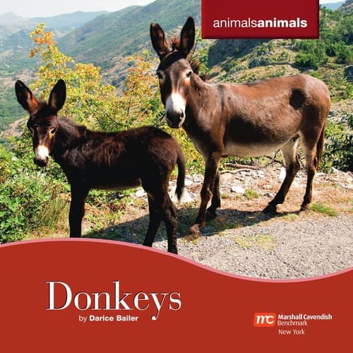 Tapa de Donkeys