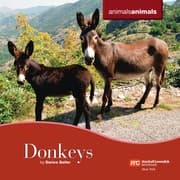 Tapa de Donkeys