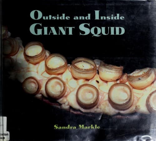 Tapa de Outside and Inside Giant Squid