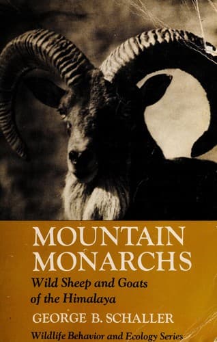 Tapa de Mountain Monarchs