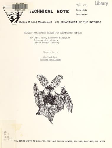 Tapa de Spotted bat, Euderma maculatum