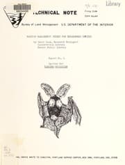Tapa de Spotted bat, Euderma maculatum