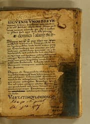 Tapa de Siguense unos breves sermones en la lengua de michuacan para cada domingo del ano fundados sobre un thema aunque por diversas materias