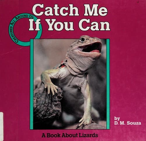 Tapa de Catch me if you can