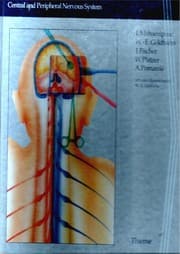 Tapa de Approaches in Neurosurgery