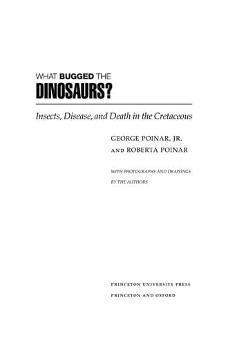 Tapa de What bugged the dinosaurs?