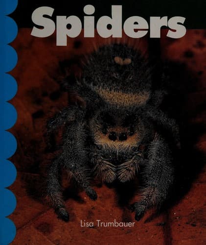 Tapa de Spiders