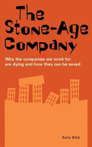Tapa de The Stone-Age Company