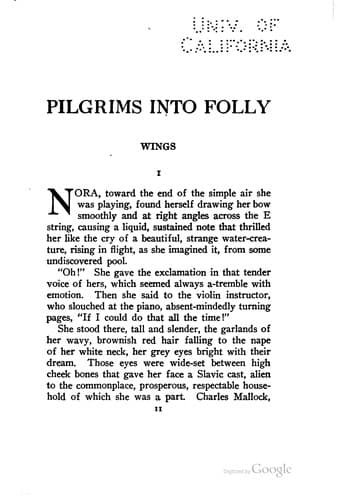 Tapa de Pilgrims into folly