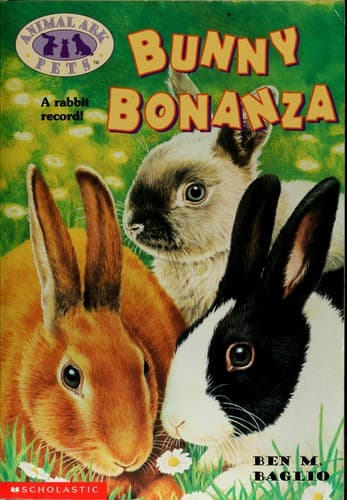 Tapa de Bunny bonanza
