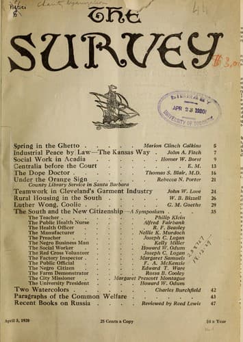 Tapa de The Survey