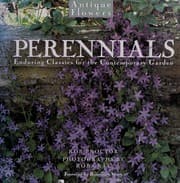 Tapa de Perennials