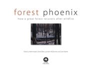 Tapa de Forest Phoenix