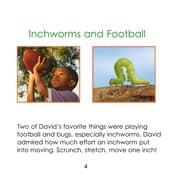 Tapa de Is an Inchworm an Inch?
