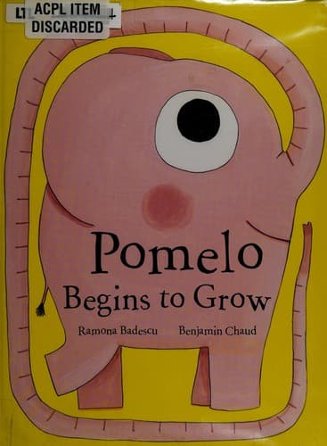 Tapa de Pomelo begins to grow