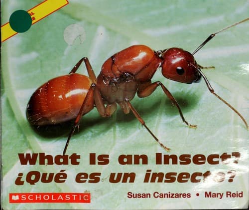 Tapa de What is an insect? =