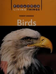 Tapa de Birds