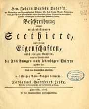 Tapa de Hrn. Johann Baptista Bohadsch ... Beschreibung einiger minderbekannten Seethiere