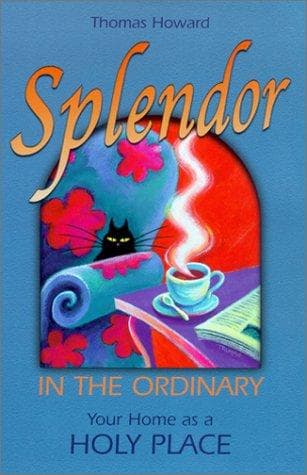 Tapa de Splendor in the ordinary