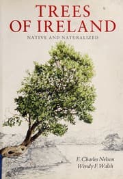 Tapa de Trees of Ireland