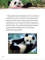 Tapa de Giant pandas