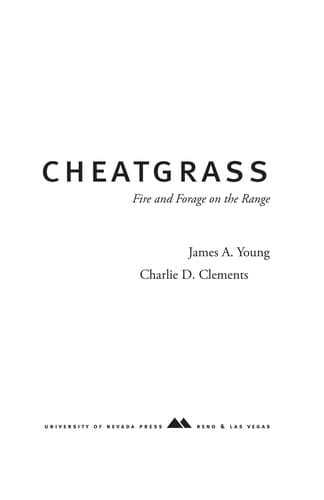 Tapa de Cheatgrass