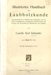 Tapa de Illustriertes handbuch der laubholzkunde
