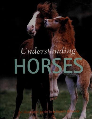 Tapa de Understanding Horses (Understanding Your Animal)