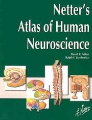 Tapa de Netter's atlas of human neuroscience