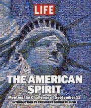 Tapa de The American spirit
