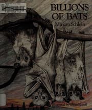 Tapa de The Billions of bats