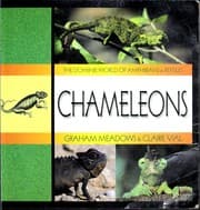 Tapa de Chameleons