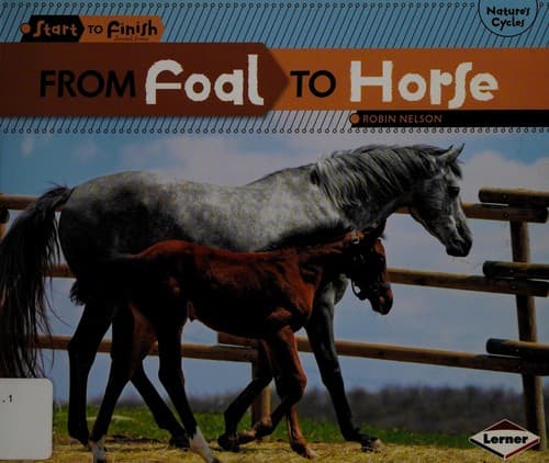 Tapa de From foal to horse